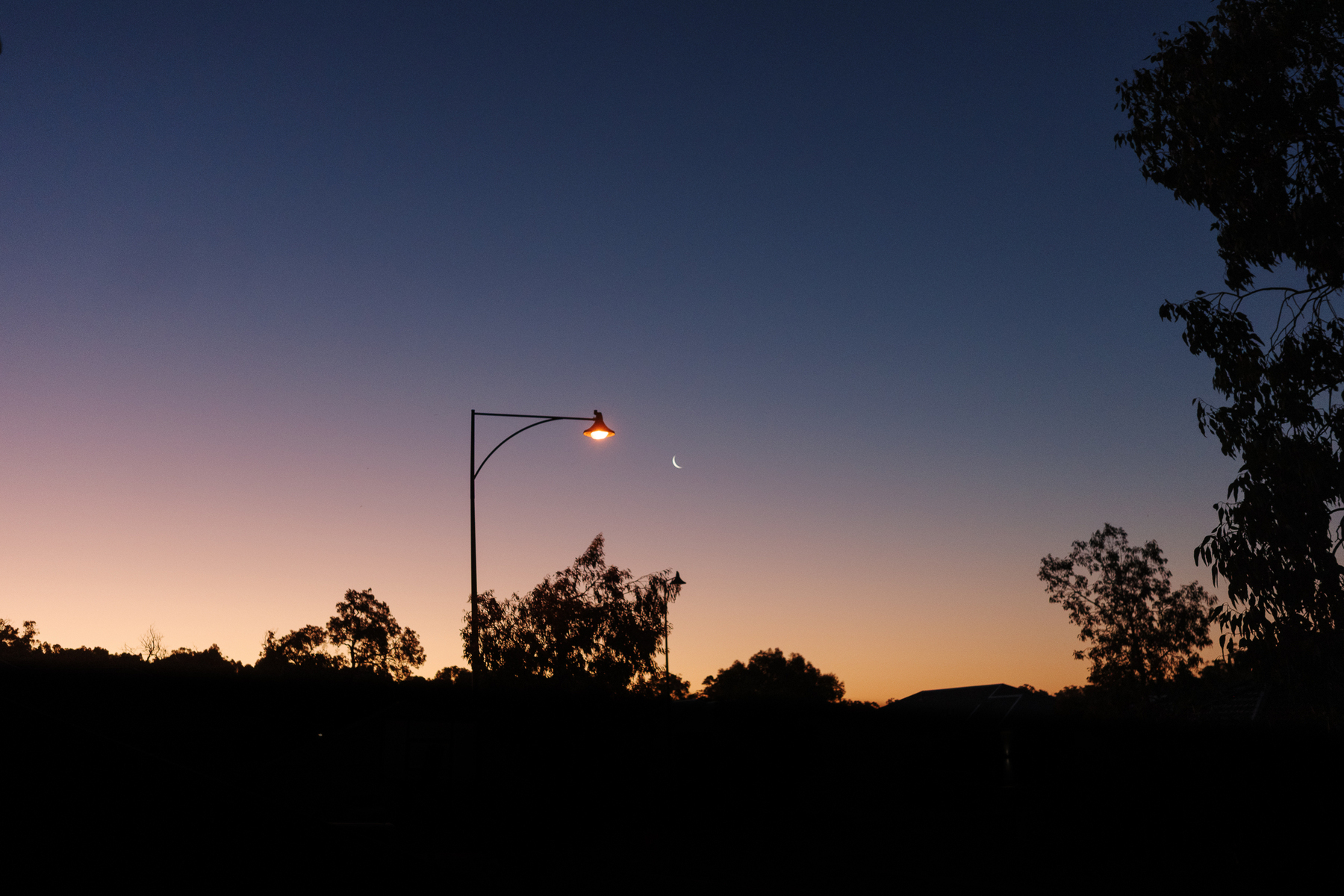 A streetlight glows under a sunset sky with a crescent moon and silhouetted trees.